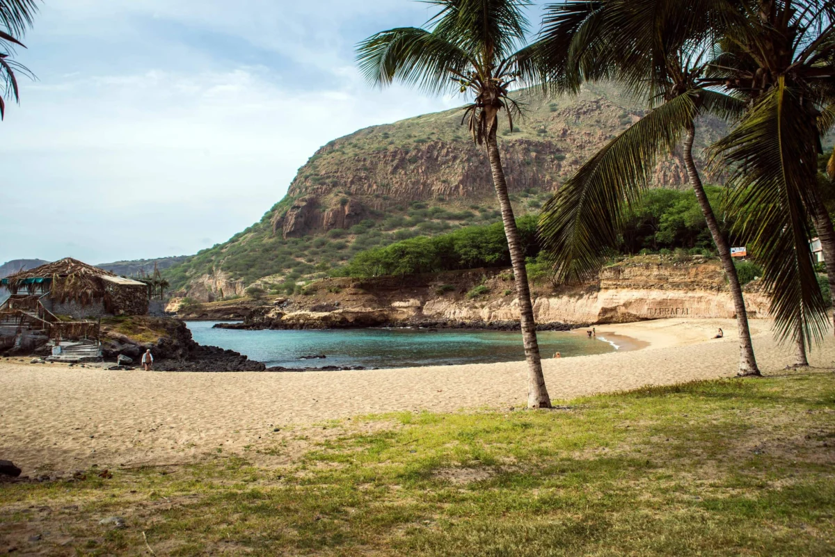 Tropical sandy beach cove with palm trees, blue ocean water, and rocky hills.