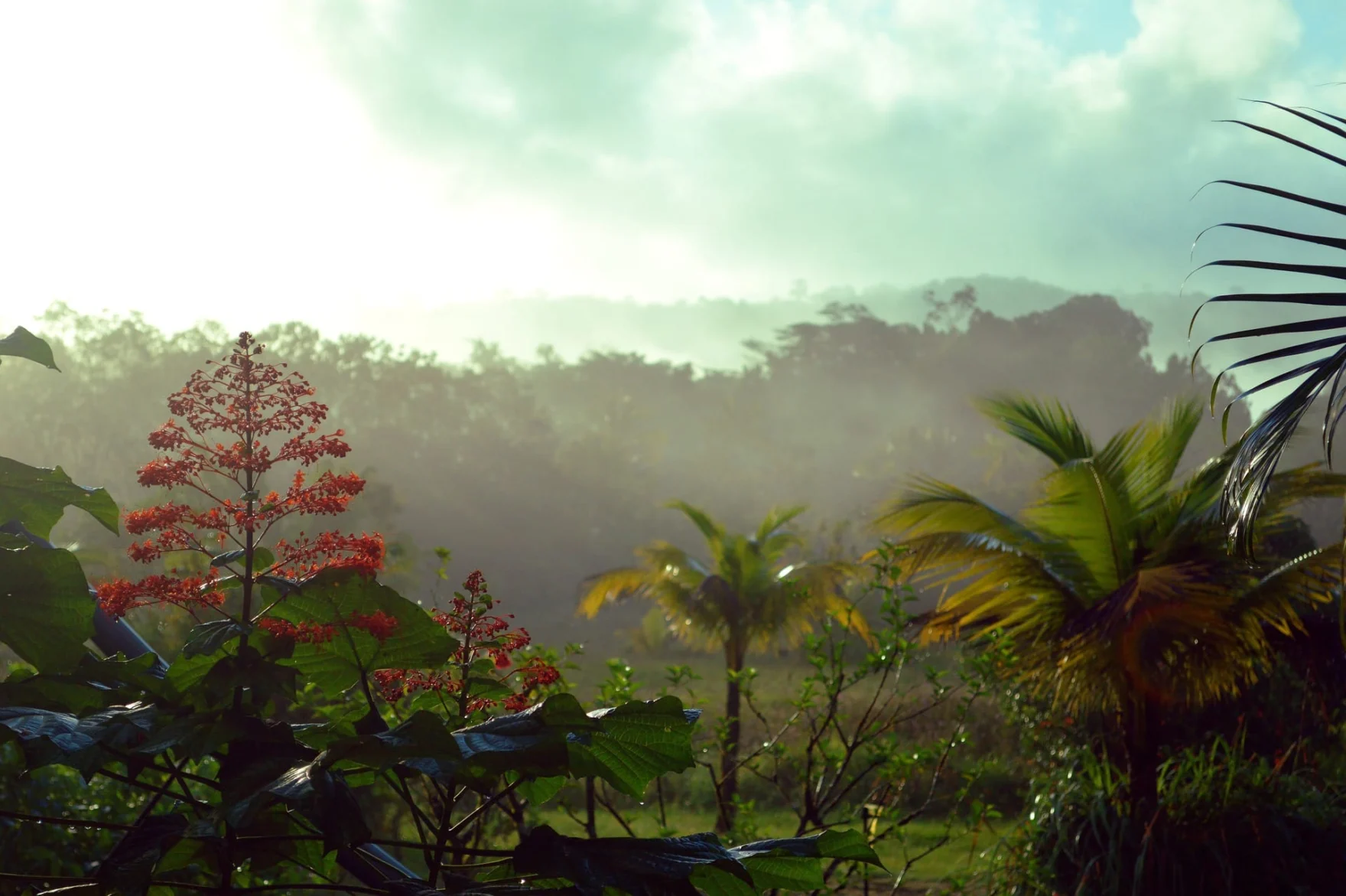 Frans-Guyana