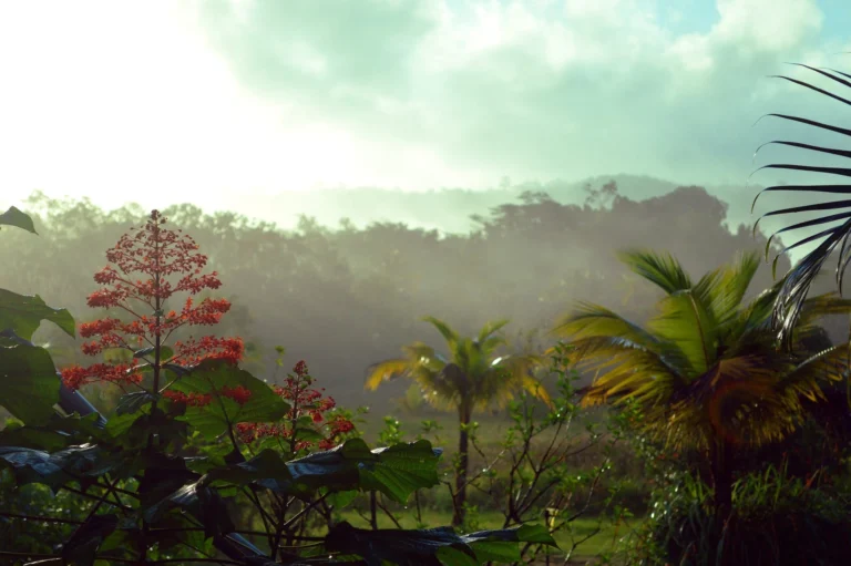 Frans-Guyana