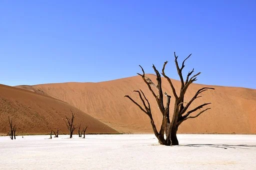 Namibië