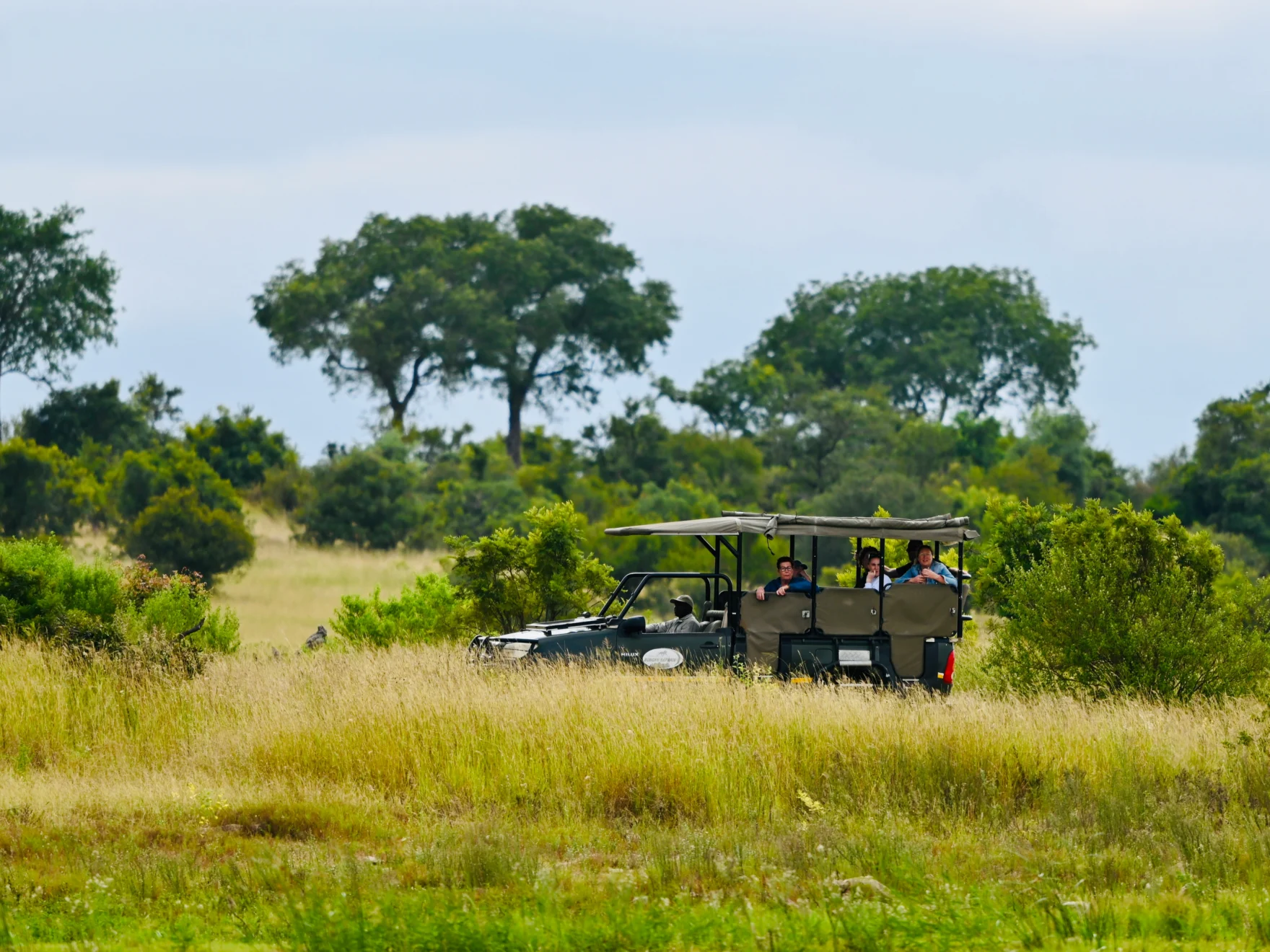 Safarivoertuig in een groen savannelandschap