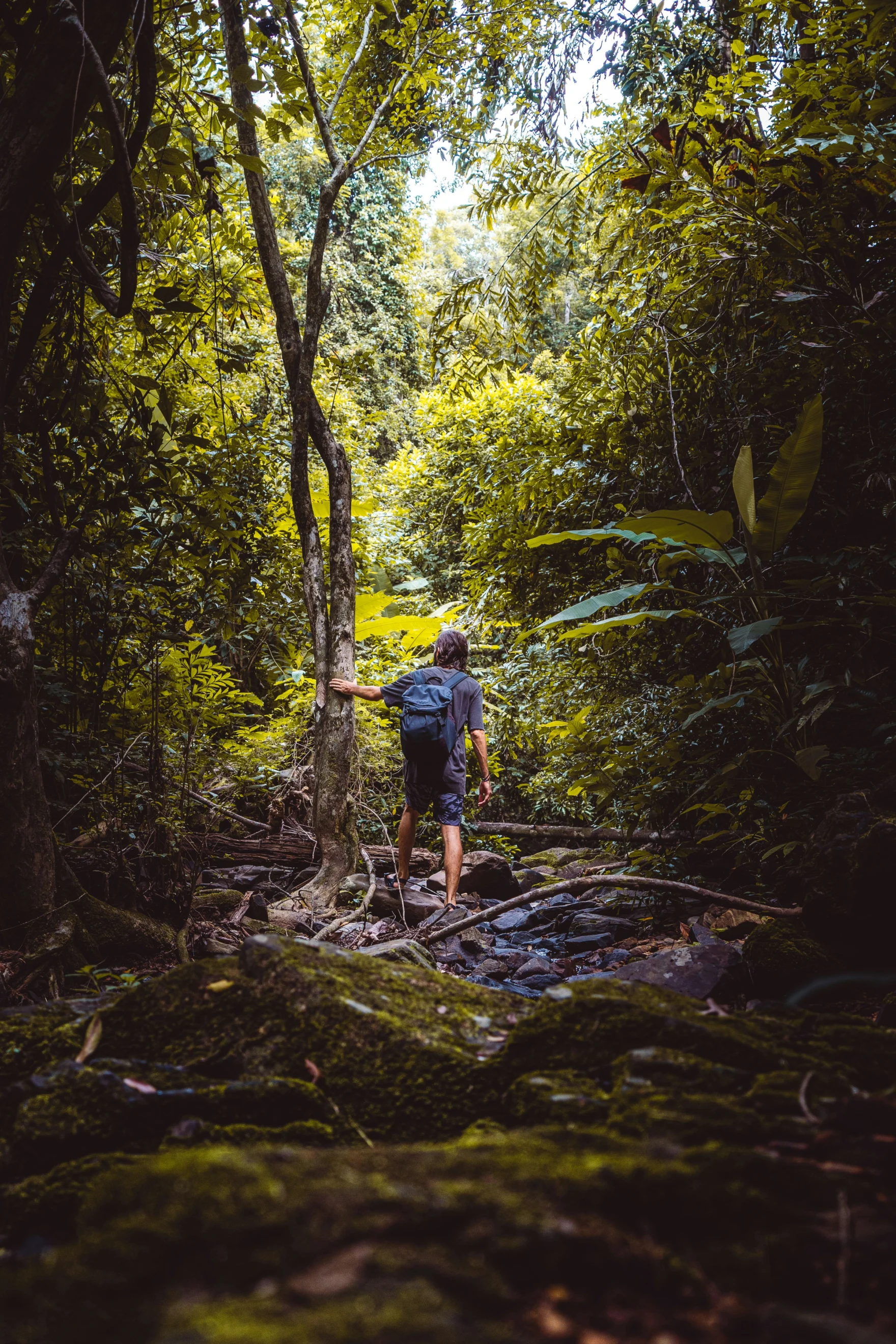 Wandelaar op een smal pad door dichte jungle