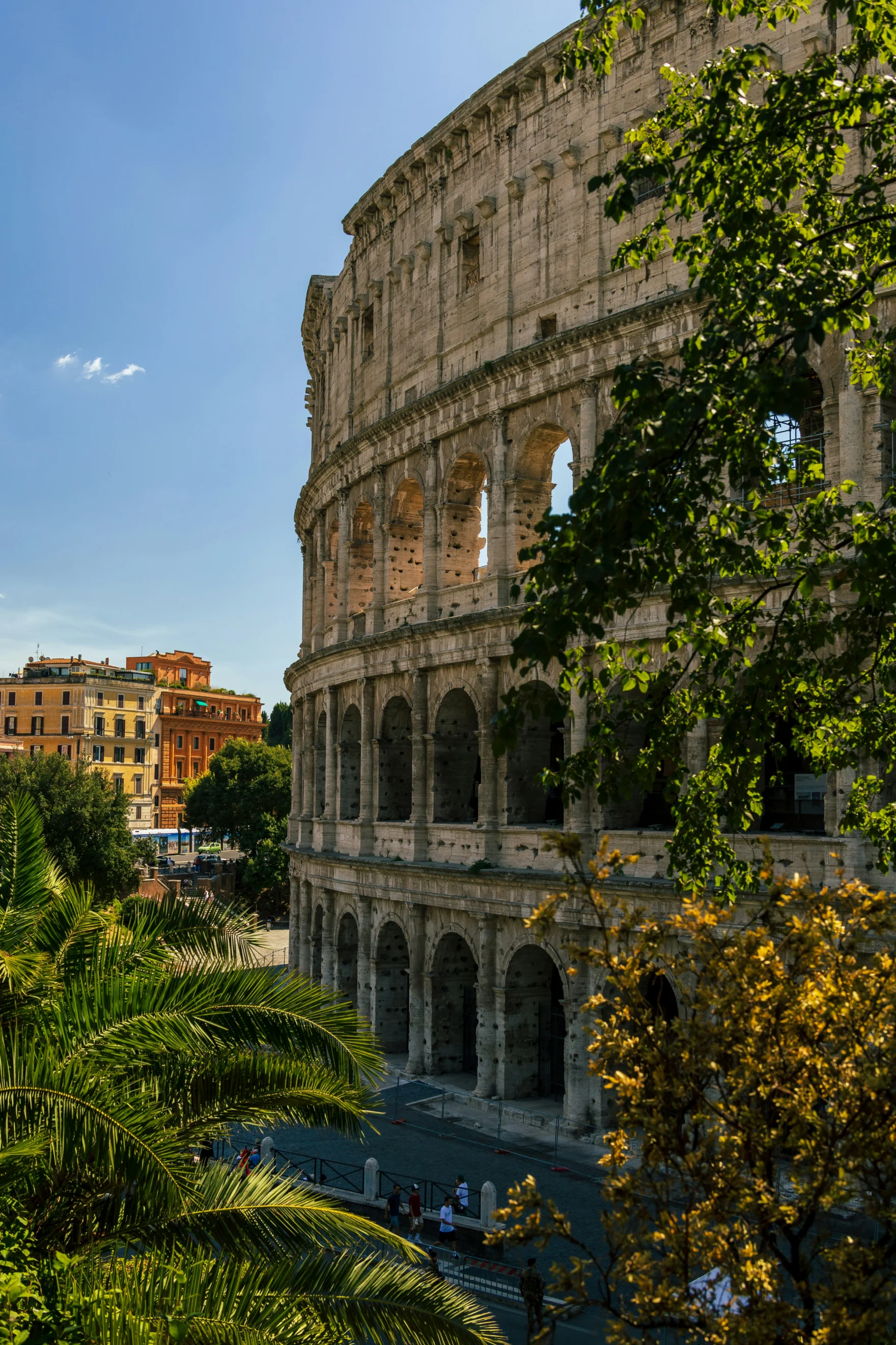 Het Colosseum in Rome tussen de bomen