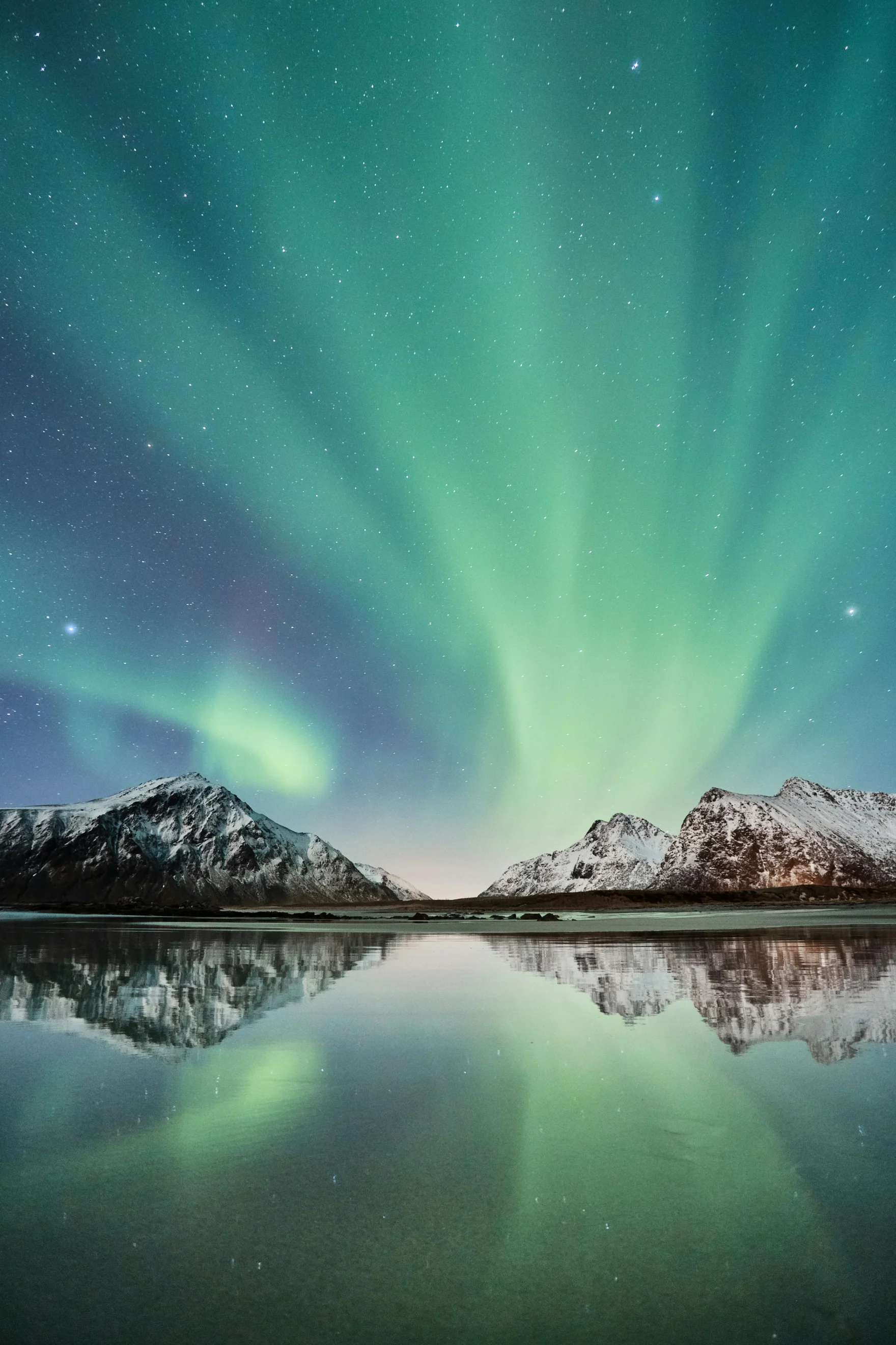 Noorderlicht boven een fjord