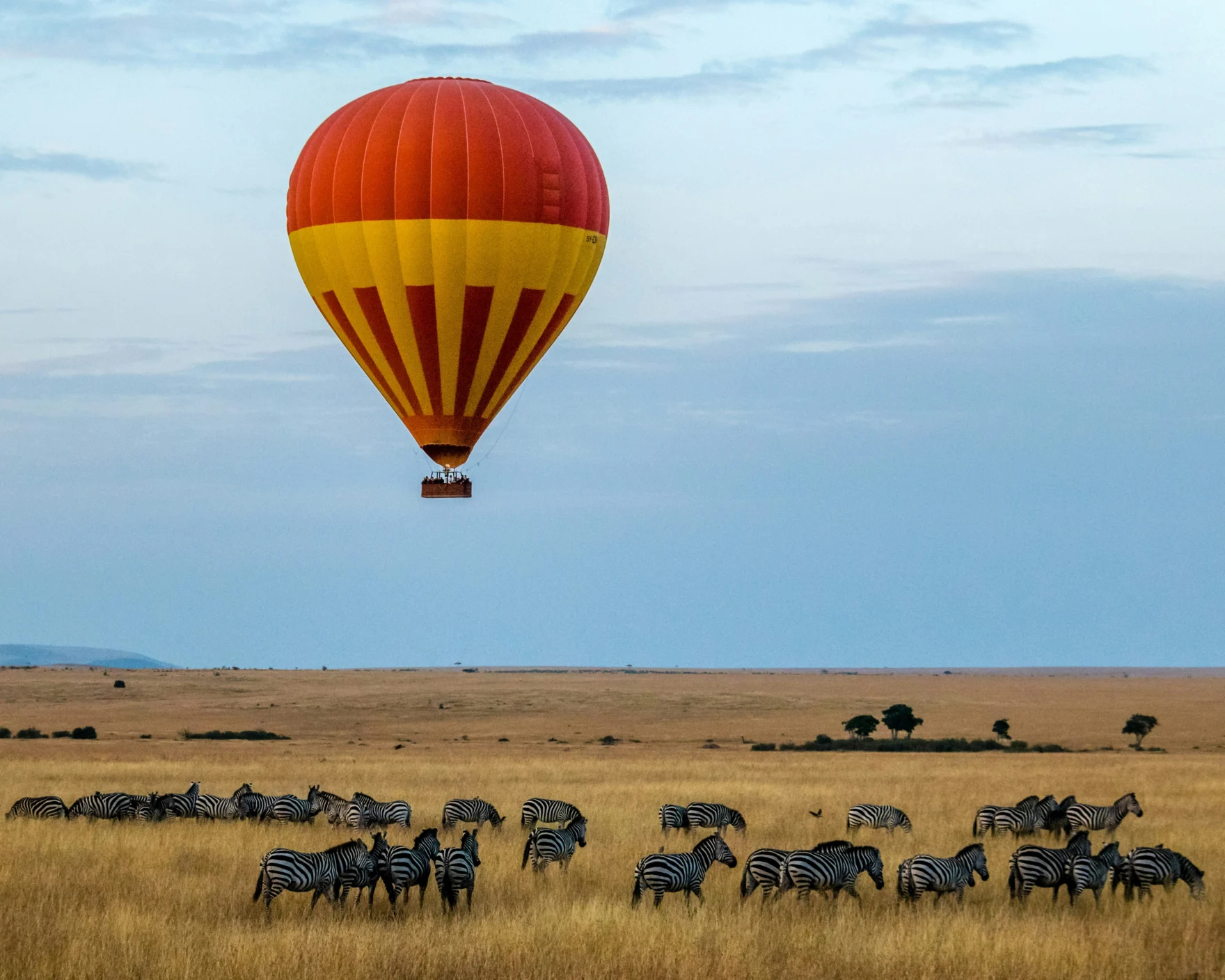 Luchtballon boven de savanne met een kudde zebras
