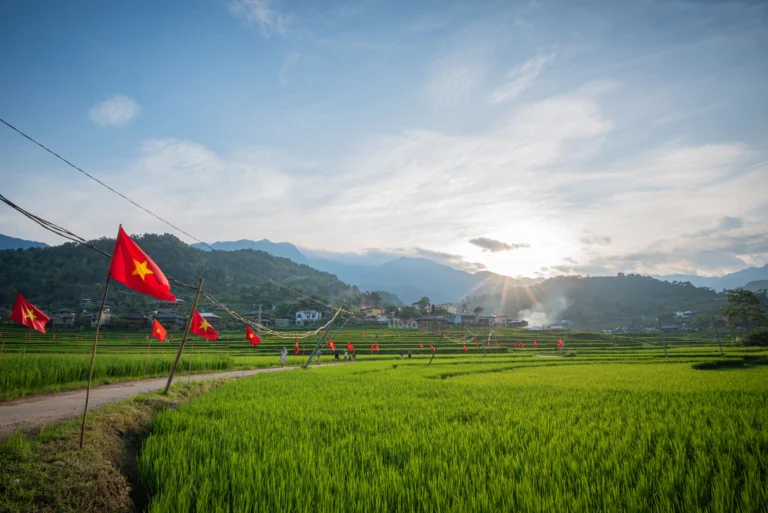 Bestemmingen - Vietnam