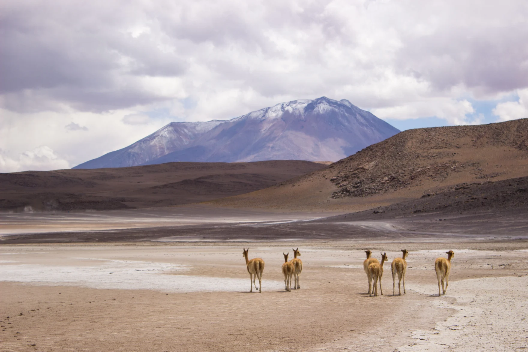 Bestemming - Bolivia