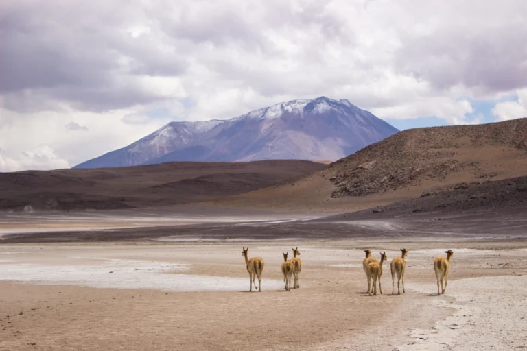 Bestemming - Bolivia