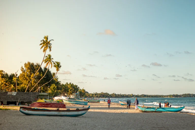 Bestemmingen - Sri Lanka