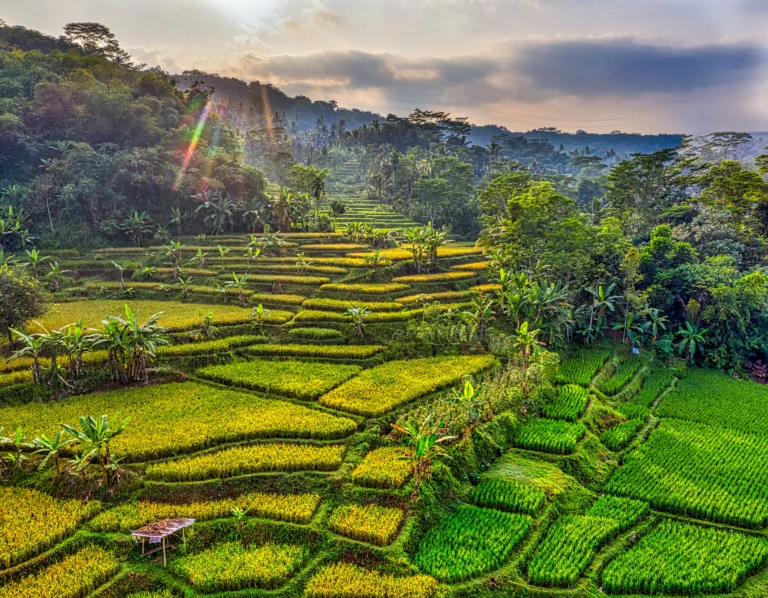 Bestemmingen - Indonesië