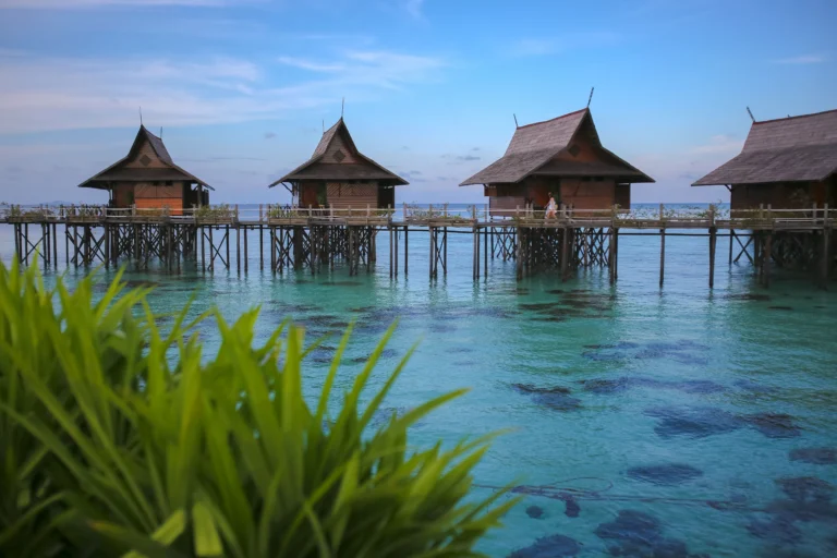 Bestemming - Borneo