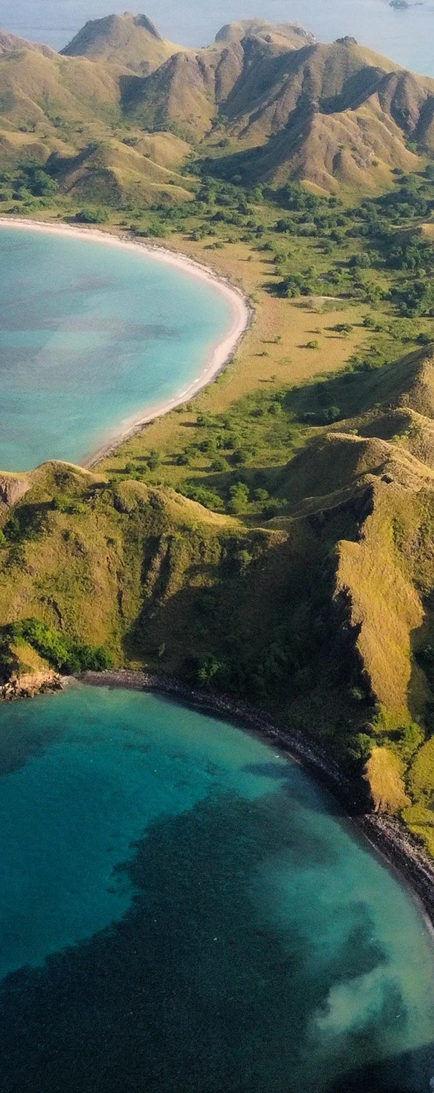 Rugged green hills and turquoise ocean bays with curved sandy beaches in Komodo.