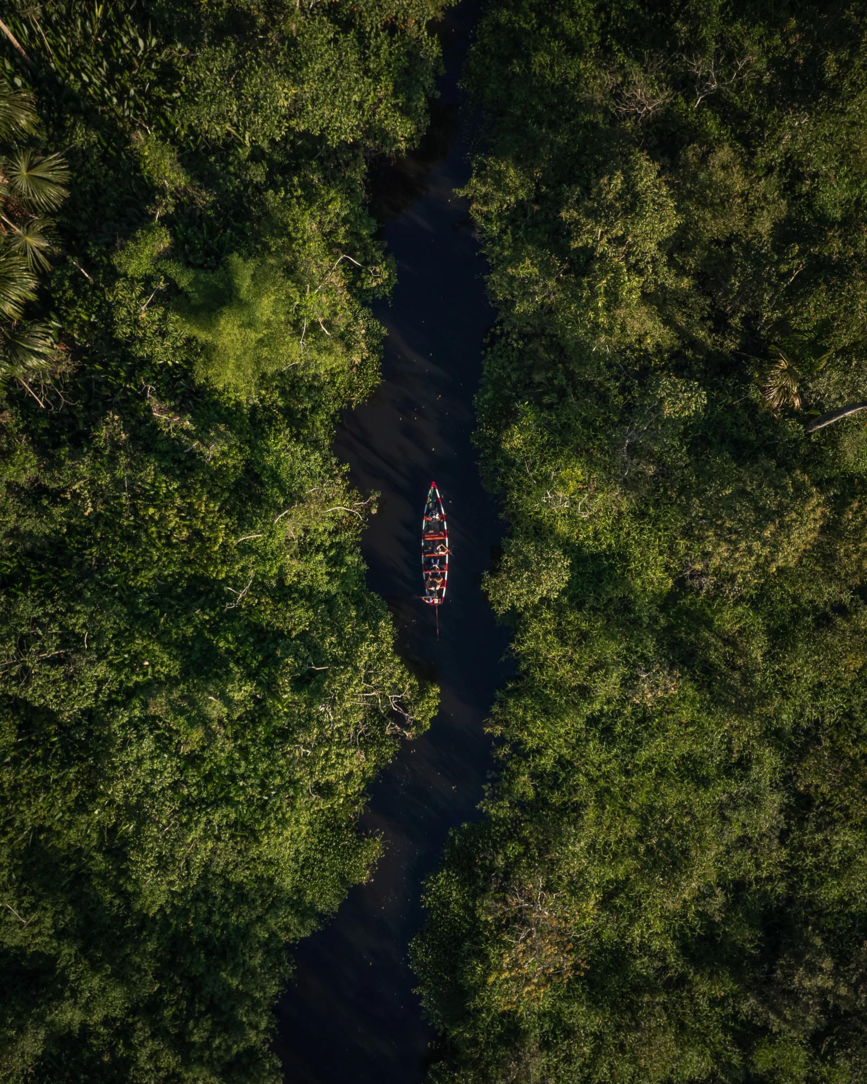 Small boat carrying passengers along a dark river enclosed by lush rainforest canopy