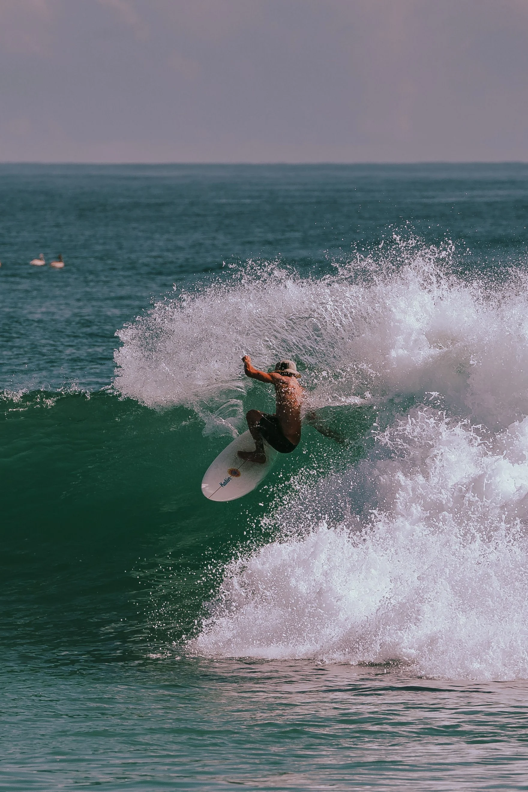 A surfer carving an ocean wave surrounded by a large spray of white water.