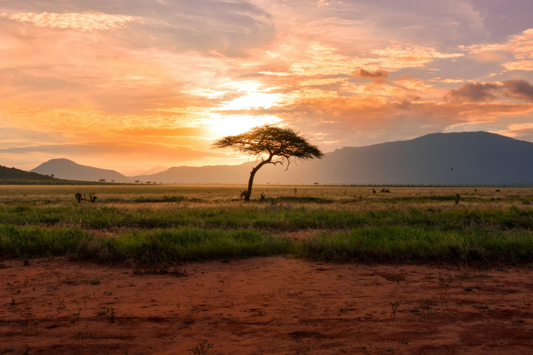 Klimaat en reistijd – Afrika