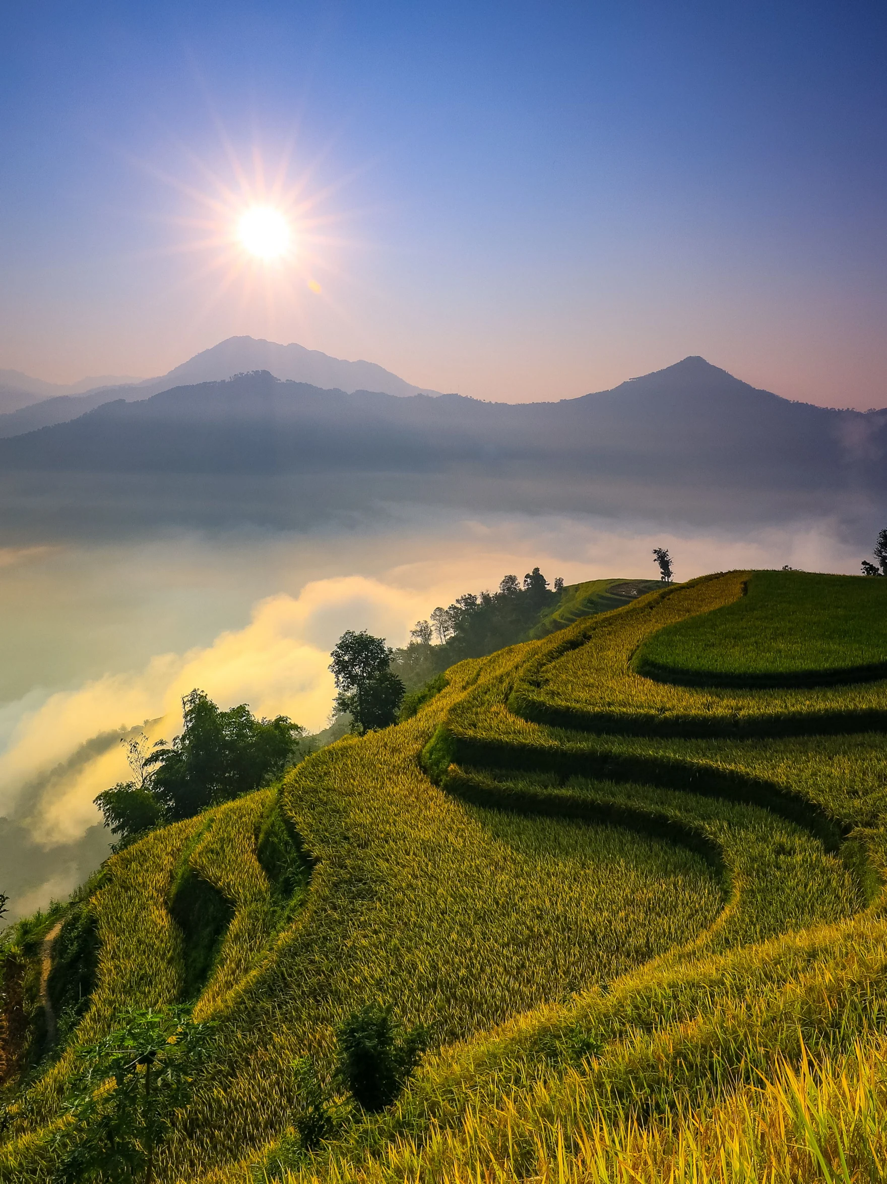 Terraced rice fields under bright morning sun overlooking a foggy valley and distant mountains.